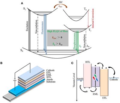 Recent Advances in Organic Light-Emitting Diodes Based on Pure Organic Room Temperature Phosphorescence Materials